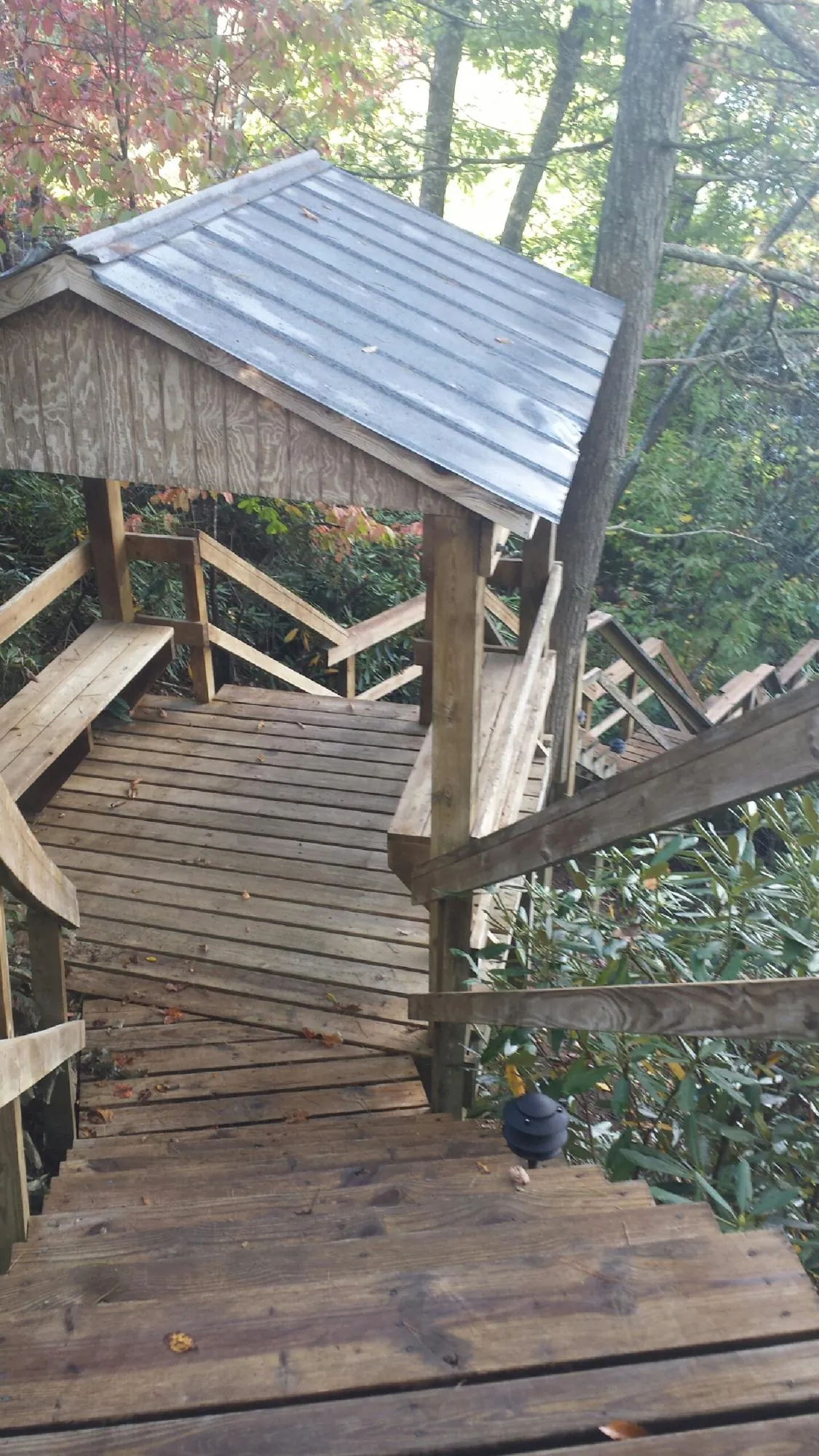 Metal roofed shelter over wooden steps on a wooded walkway — Skylight Repair & Installation work by our crew in Mount Croghan
